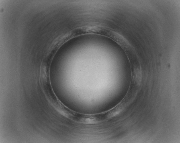X0000081400506200701111546