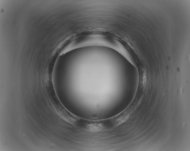 X0000081400508200701111546