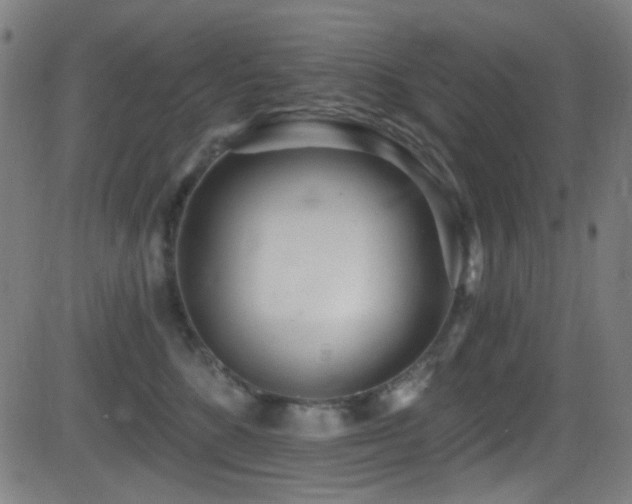 X0000081400520200701111546
