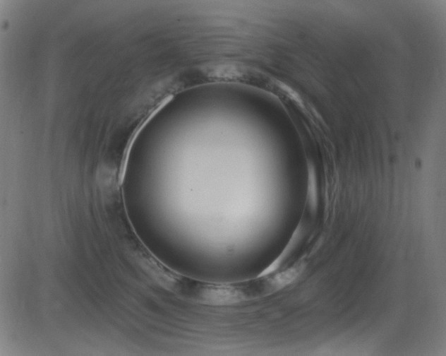 X0000081400521200701111546
