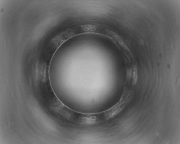 X0000081400525200701111546