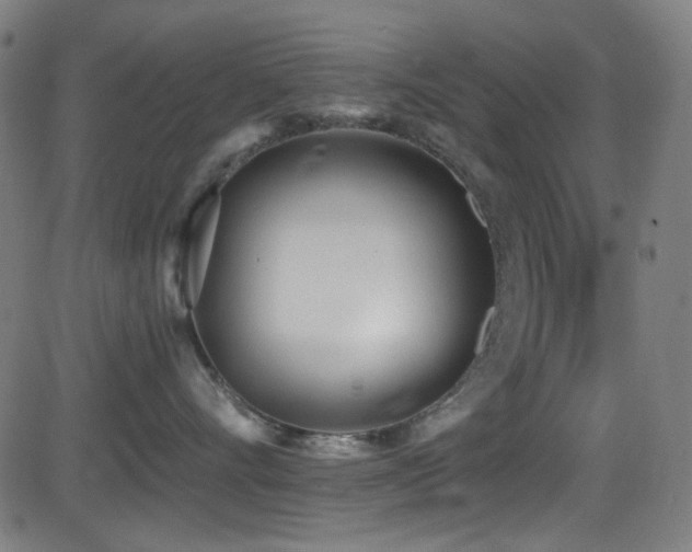 X0000081400528200701111546