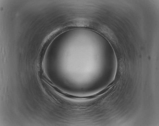 X0000081400536200701111545