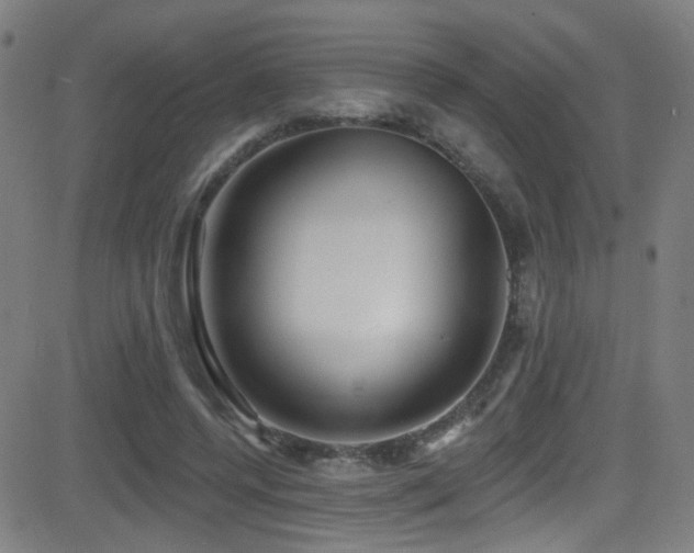 X0000081400544200701111545