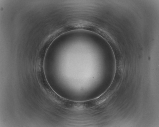 X0000081400547200701111545