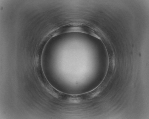X0000081400556200701111546