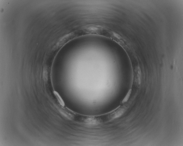 X0000081400562200701111546