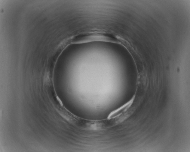 X0000081400564200701111546