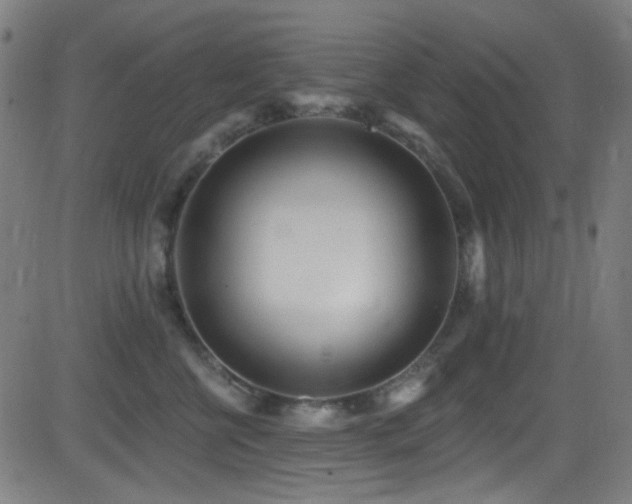 X0000081400570200701111546