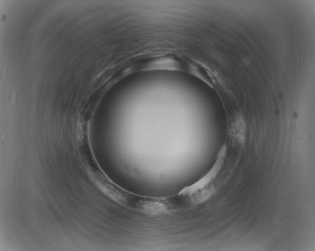 X0000081400572200701111546