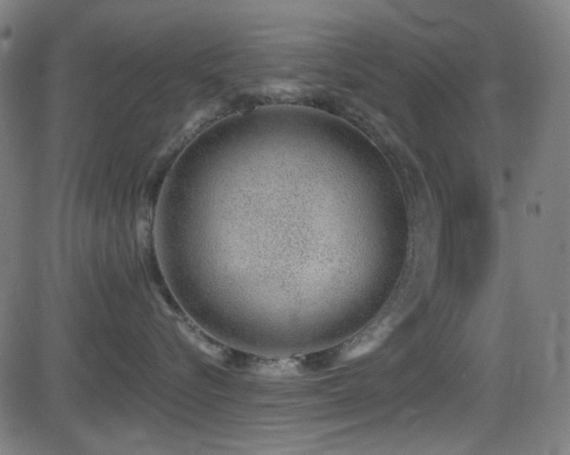 X0000081400576200701111546