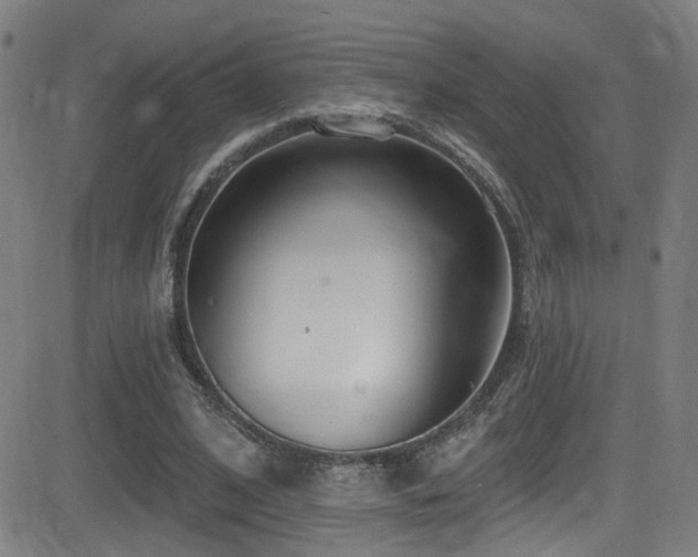 X0000081400584200701111545