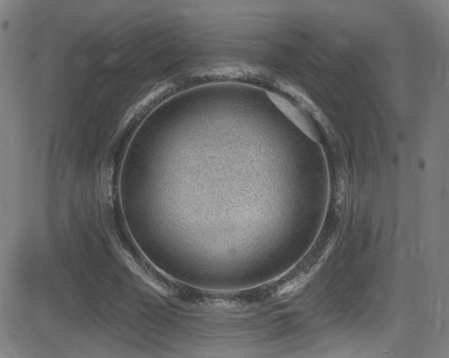 X0000081400585200701111545