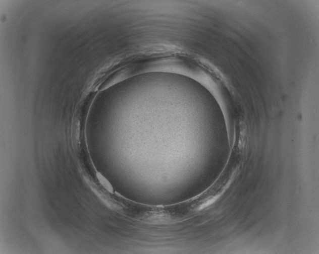 X0000081400589200701111545