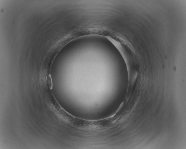 X0000081400593200701111545