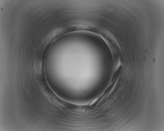 X0000081400596200701111545