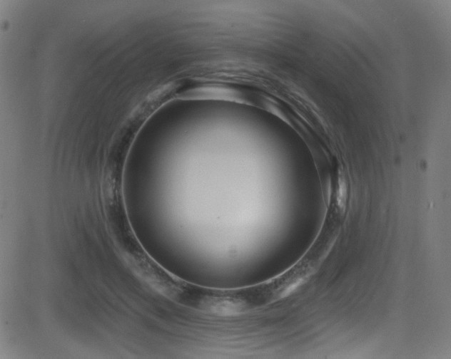 X0000081400597200701111545