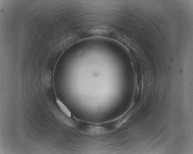 X0000081400605200701111545