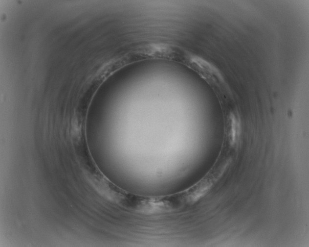 X0000081400607200701111545