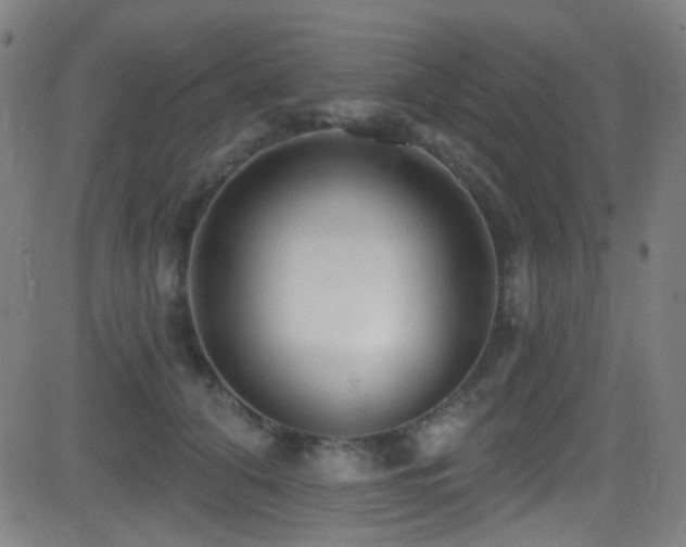 X0000081400608200701111545
