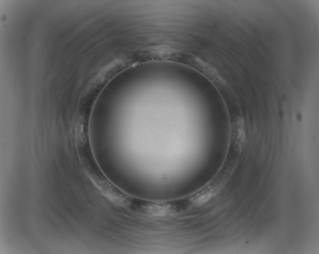 X0000081400615200701111544