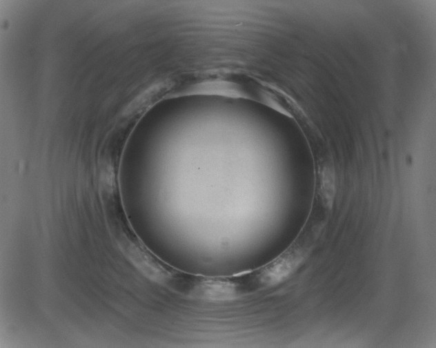 X0000081400617200701111544