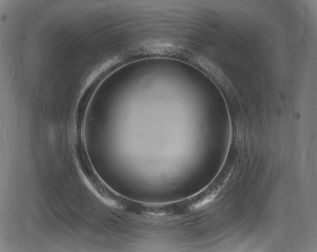 X0000081400630200701111544