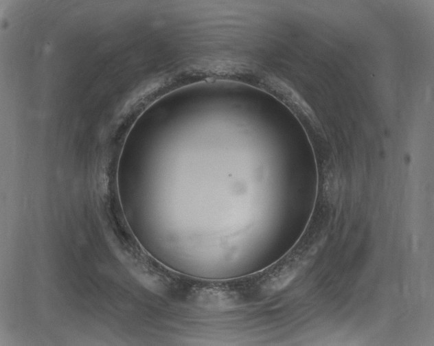 X0000081400635200701111544