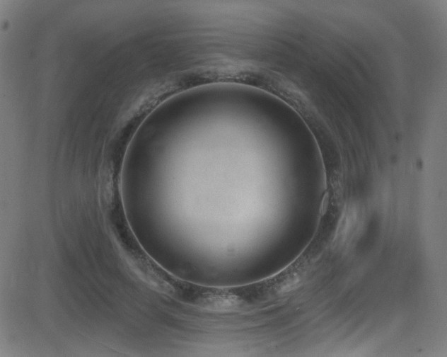 X0000081400642200701111544