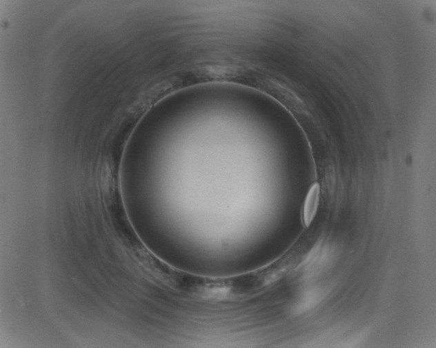 X0000081400651200701111544