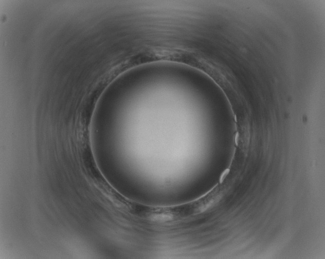 X0000081400653200701111544