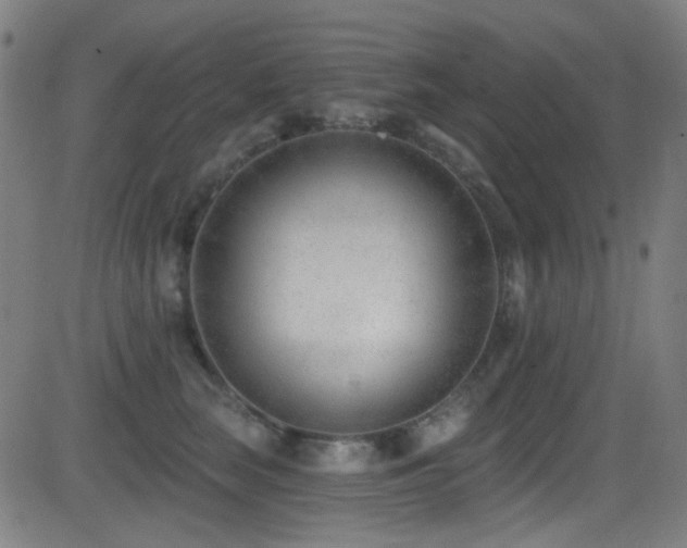 X0000081400663200701111544
