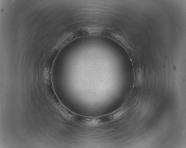 X0000081400667200701111544