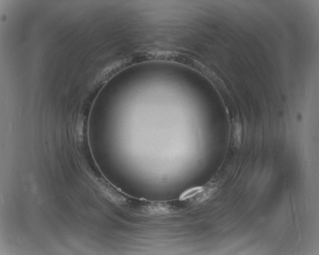 X0000081400668200701111544