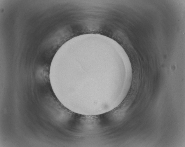 X0000081400672200701111544
