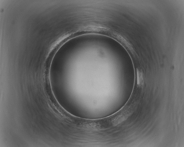 X0000081400675200701111543