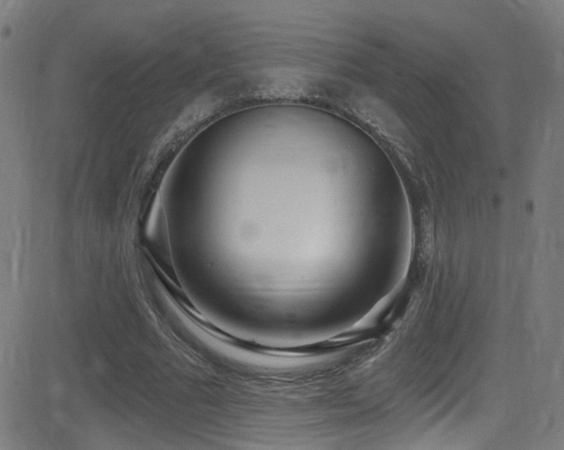 X0000081400681200701111543