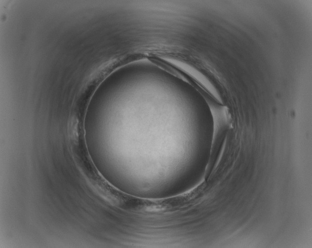 X0000081400692200701111543