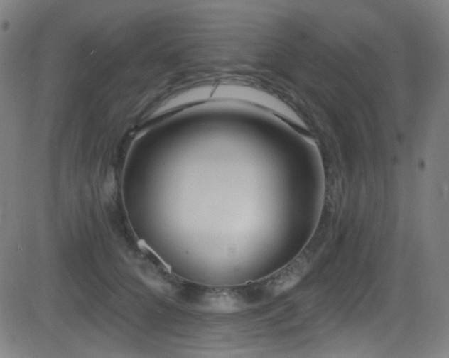 X0000081400704200701111543