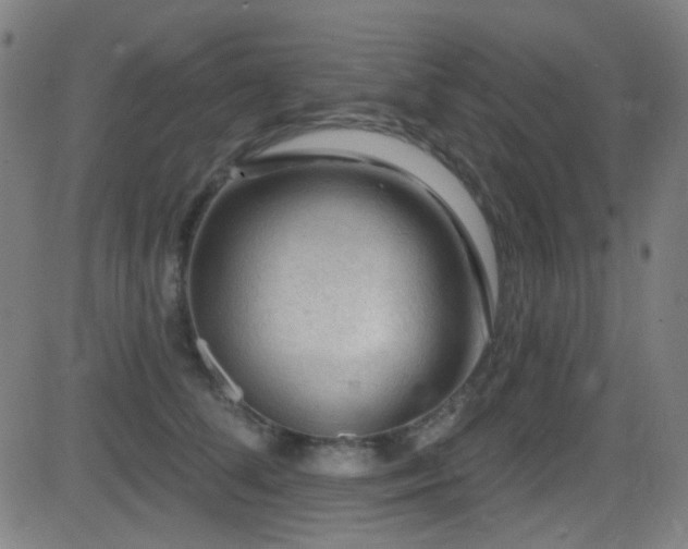 X0000081400708200701111543