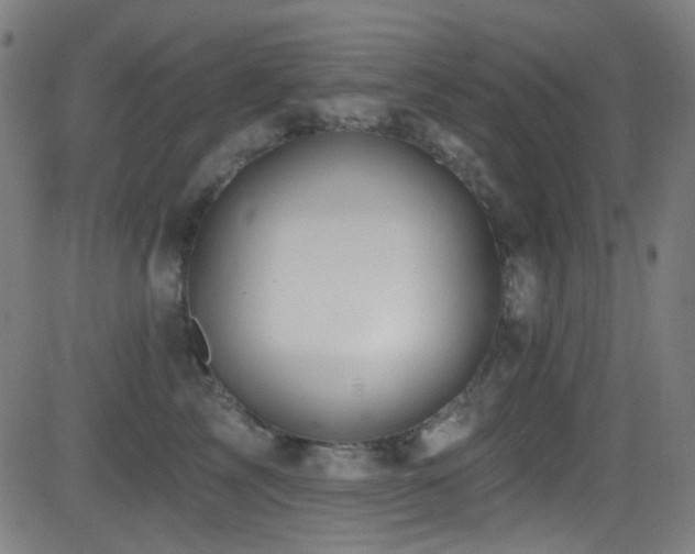 X0000081400713200701111543