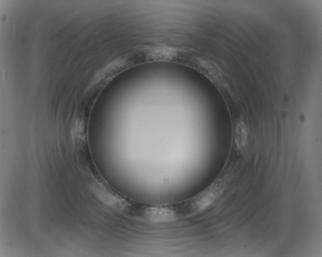X0000081400714200701111543
