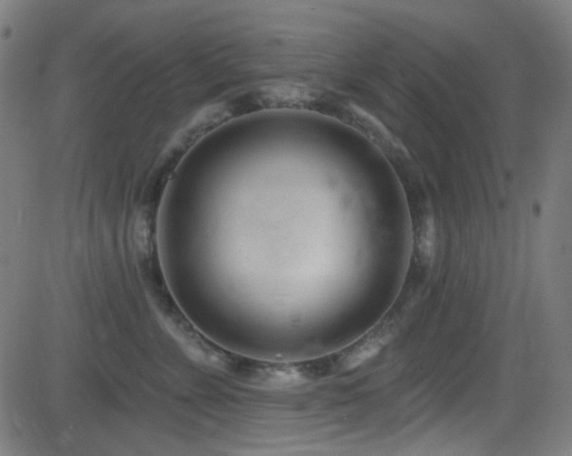 X0000081400715200701111543
