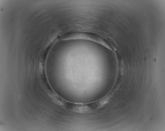 X0000081400716200701111543
