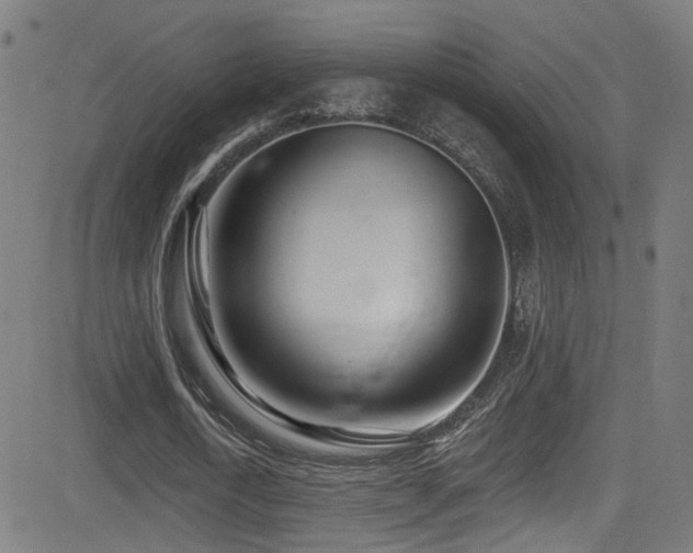 X0000081400722200701111542