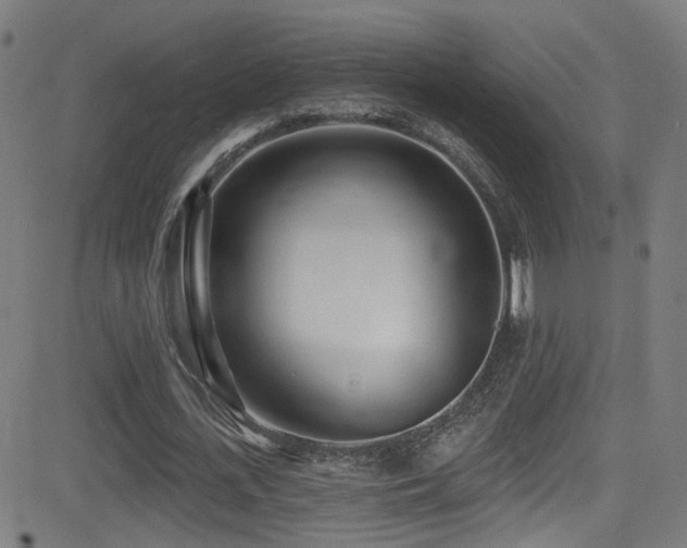 X0000081400723200701111542