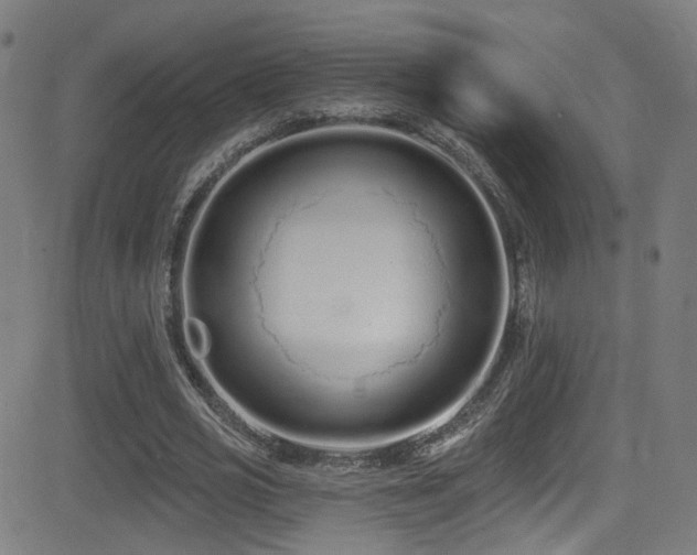 X0000081400725200701111542