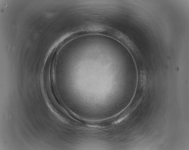 X0000081400726200701111542