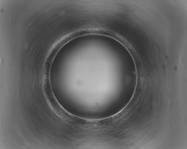 X0000081400728200701111542