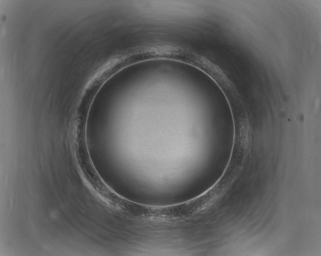 X0000081400730200701111542